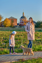 Similar image 22638410