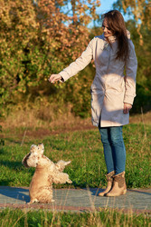 Similar image 22638426