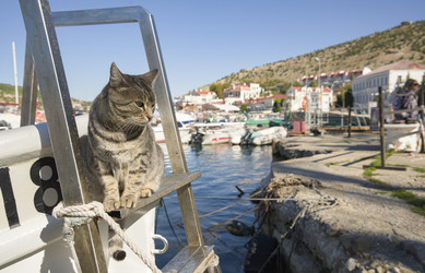 Similar image 22640703