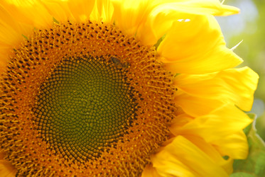 Similar image 22640827