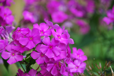 Similar image 22640828