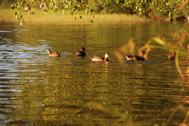 Similar image 22640829