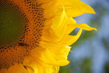 Similar image 22640830