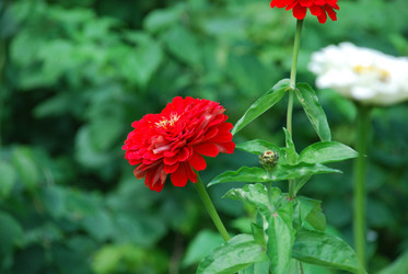 Similar image 22640832