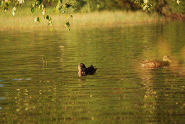 Similar image 22640834