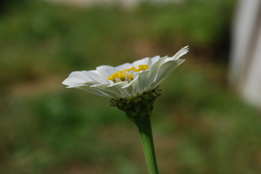 Similar image 22640836