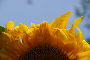 Similar image 22640838