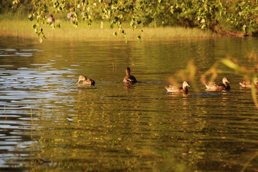 Similar image 22640842