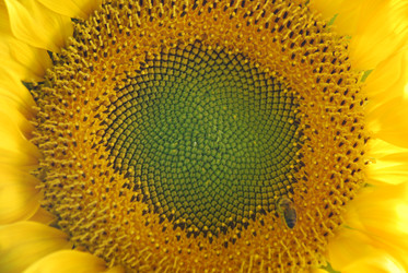 Similar image 22640843