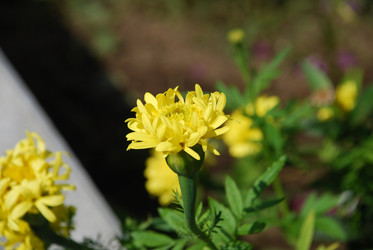 Similar image 22640844