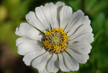 Similar image 22640845