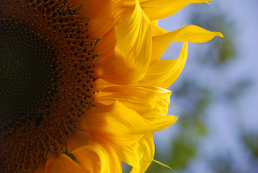 Similar image 22640846