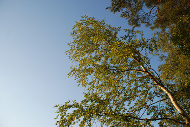 Similar image 22640847