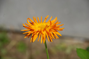 Similar image 22640848