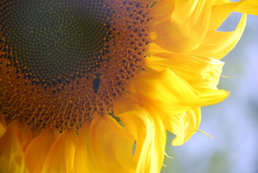 Similar image 22640849