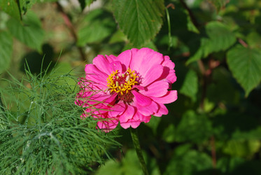 Similar image 22640850