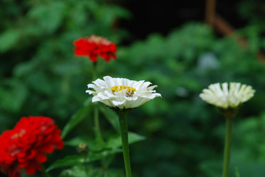 Similar image 22640851