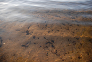 Similar image 22640852