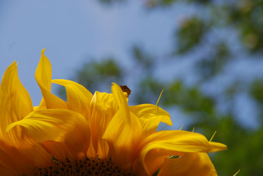 Similar image 22640853