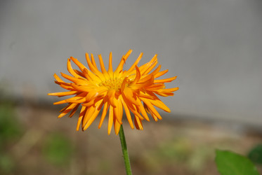 Similar image 22640854