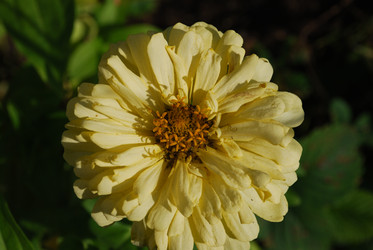 Similar image 22640856