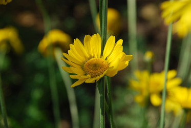 Similar image 22640857