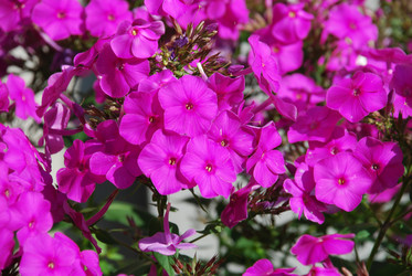 Similar image 22640860