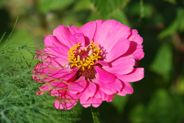 Similar image 22640861