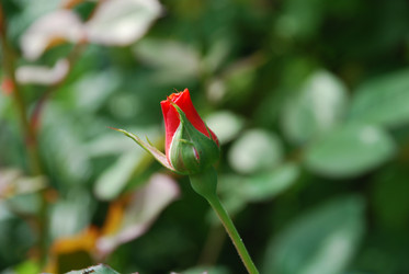 Similar image 22640862