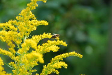 Similar image 22640863