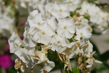 Similar image 22640864