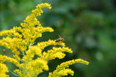 Similar image 22640867