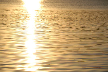 Similar image 22640869