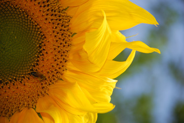 Similar image 22640871