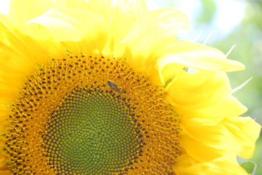 Similar image 22640873