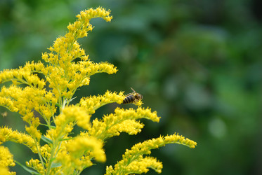 Similar image 22640874