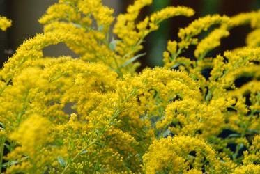 Similar image 22640875