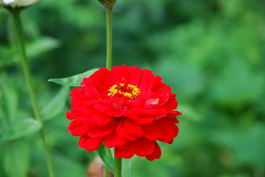 Similar image 22640876