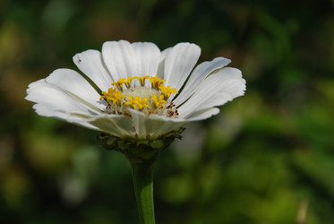 Similar image 22640877