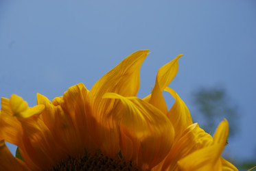 Similar image 22640881