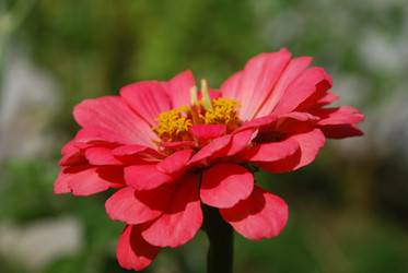 Similar image 22640882