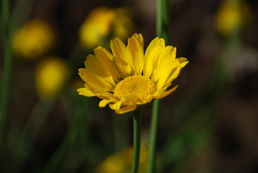 Similar image 22640884