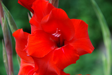 Similar image 22640885