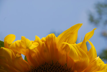 Similar image 22640886