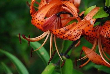 Similar image 22640887