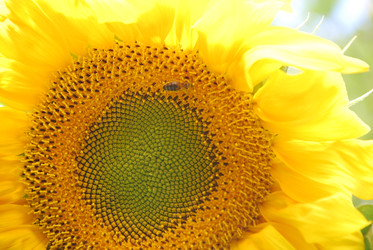 Similar image 22640824