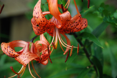 Similar image 22640825