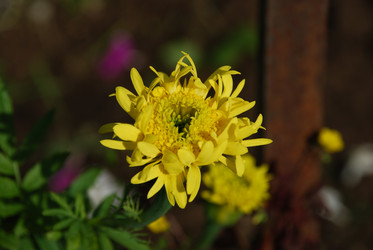 Similar image 22640840