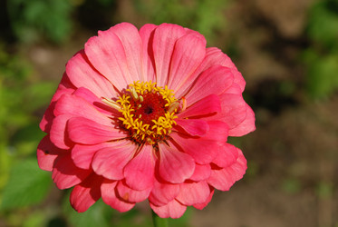 Similar image 22640841