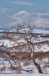 Similar image 22641506